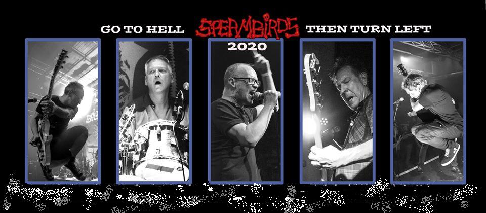 Spermbirds_2020